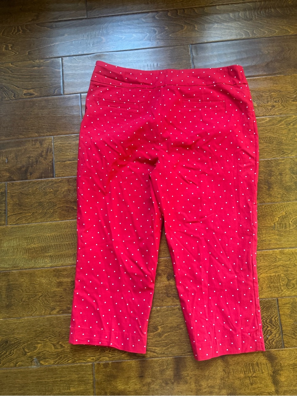 Red Polka Dot Women's pants Kim Rogers 16